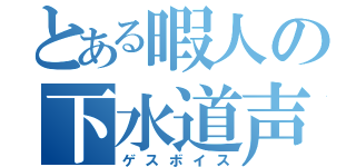 とある暇人の下水道声 （ゲスボイス）