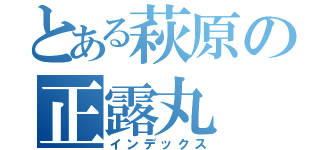 とある萩原の正露丸（インデックス）