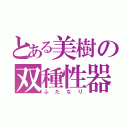 とある美樹の双種性器（ふたなり）