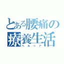 とある腰痛の療養生活（ヘルニア）