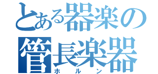 とある器楽の管長楽器（ホルン）