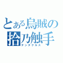 とある烏賊の拾乃触手（テンタクルス）