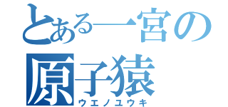 とある一宮の原子猿（ウエノユウキ）