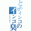 とあるインコのインコ臭（いんこくさいー）