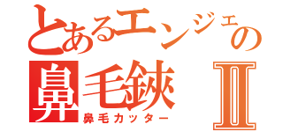 とあるエンジェルの鼻毛鋏Ⅱ（鼻毛カッター）