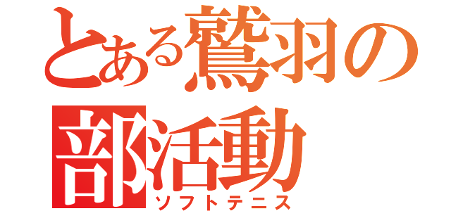 とある鷲羽の部活動（ソフトテニス）