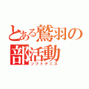 とある鷲羽の部活動（ソフトテニス）