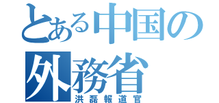 とある中国の外務省（洪磊報道官）