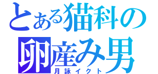 とある猫科の卵産み男（月詠イクト）