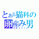 とある猫科の卵産み男（月詠イクト）