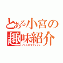 とある小宮の趣味紹介（イントロダクション）