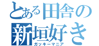 とある田舎の新垣好き（ガッキーマニア）