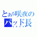 とある咲夜のパッド長（にせちち）