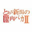 とある新潟の筋肉バカⅡ（）