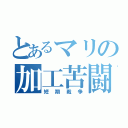 とあるマリの加工苦闘（短期戦争）