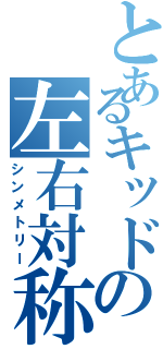 とあるキッドの左右対称（シンメトリー）