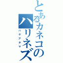 とあるカネコのハリネズミ（ハゲアタマ）