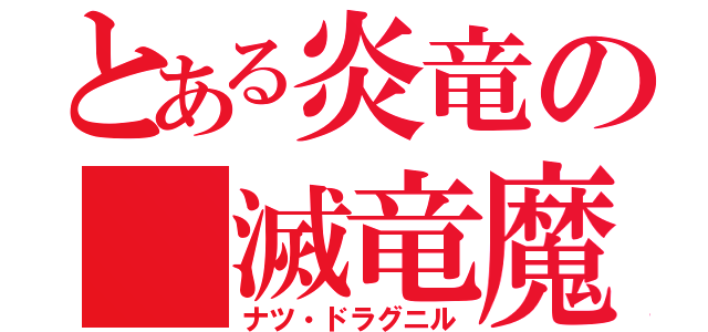 とある炎竜の 滅竜魔導士（ナツ・ドラグニル）