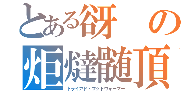 とある谺　の炬燵髄頂（トライアド・フットウォーマー）