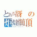 とある谺　の炬燵髄頂（トライアド・フットウォーマー）