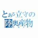 とある立守の陸奥産物（ワカメ）