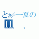 とある一夏のＨ（ＩＳ）