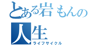 とある岩もんの人生（ライフサイクル）