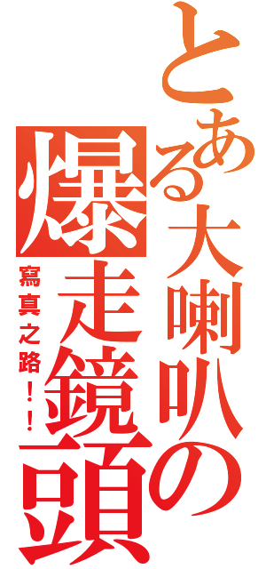 とある大喇叭の爆走鏡頭（寫真之路！！）