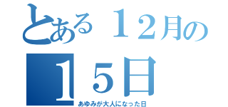 とある１２月の１５日（あゆみが大人になった日）