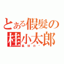 とある假髮の桂小太郎（氣球の喵）