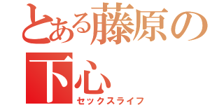 とある藤原の下心（セックスライフ）