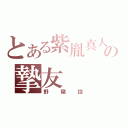 とある紫胤真人の摯友（野豬控）