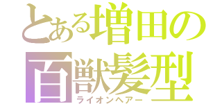 とある増田の百獣髪型（ライオンヘアー）