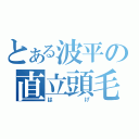 とある波平の直立頭毛（はげ）