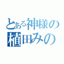 とある神様の植田みのり（）