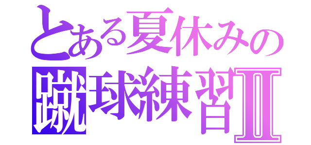 とある夏休みの蹴球練習Ⅱ（）