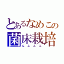 とあるなめこの菌床栽培（んふんふ）