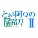 とある阿Ｑの殺豬刀Ⅱ（ＳｏｕｌＲ）