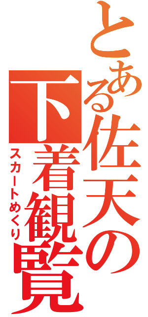 とある佐天の下着観覧Ⅱ（スカートめくり）