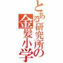 とある研究所の金髪小学生（）