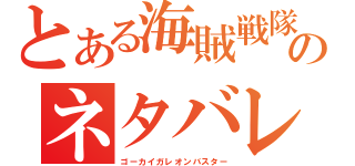 とある海賊戦隊のネタバレ玩具（ゴーカイガレオンバスター）