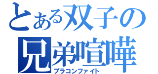 とある双子の兄弟喧嘩（ブラコンファイト）