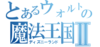 とあるウォルトの魔法王国Ⅱ（ディズニーランド）