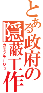 とある政府の隠蔽工作（カモフラージュ）