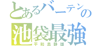 とあるバーテン服の池袋最強（平和島静雄）