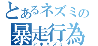 とあるネズミの暴走行為（アホネズミ）