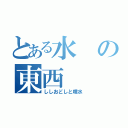 とある水の東西（ししおどしと噴水）