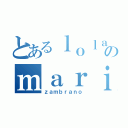 とあるｌｏｌａのｍａｒｉ（ｚａｍｂｒａｎｏ）