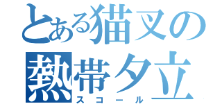 とある猫叉の熱帯夕立（スコール）