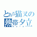 とある猫叉の熱帯夕立（スコール）